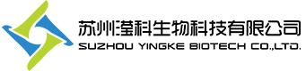 祝賀渭南金地圣科技有限責任公司網(wǎng)站上線！